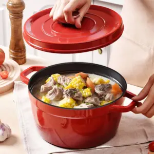 9.5Inch Non-stick Enamel Soup pot Cast iron Stew pan with Lid Household